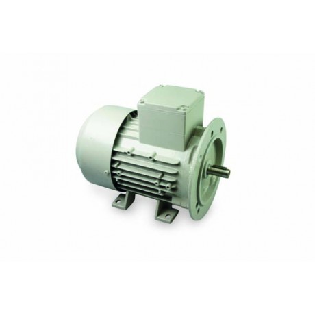 Motor pompă lapte 220V/0,75 Kw